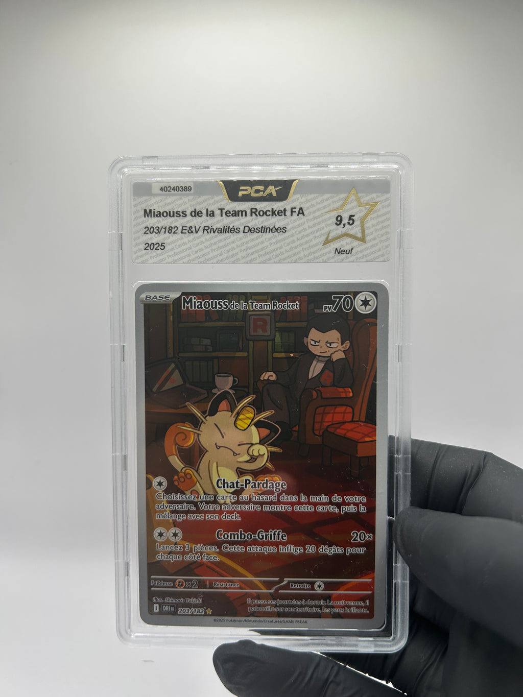 Miaouss De La TEAM Rocket 203/182 PCA9.5