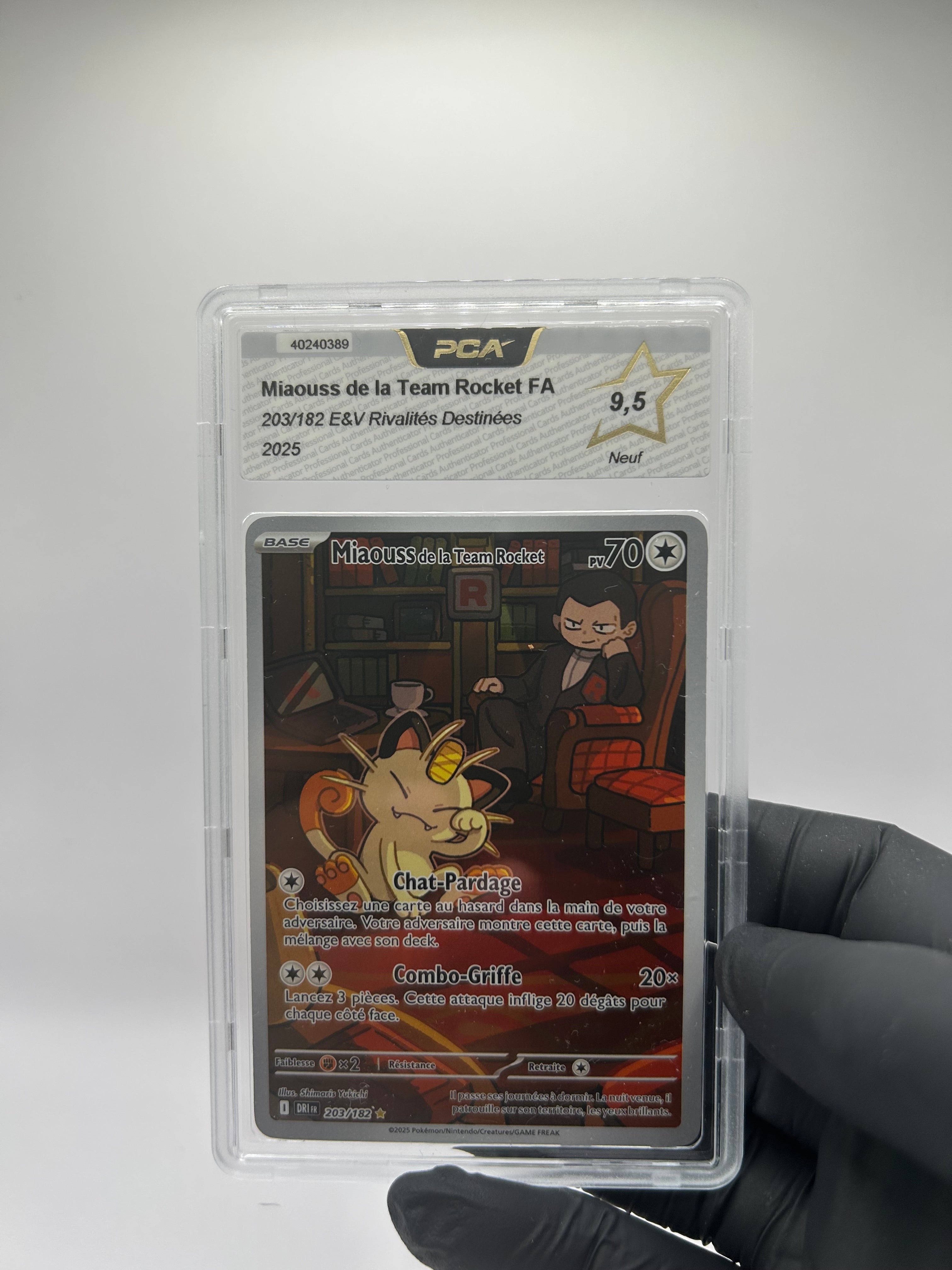 Miaouss De La TEAM Rocket 203/182 PCA9.5
