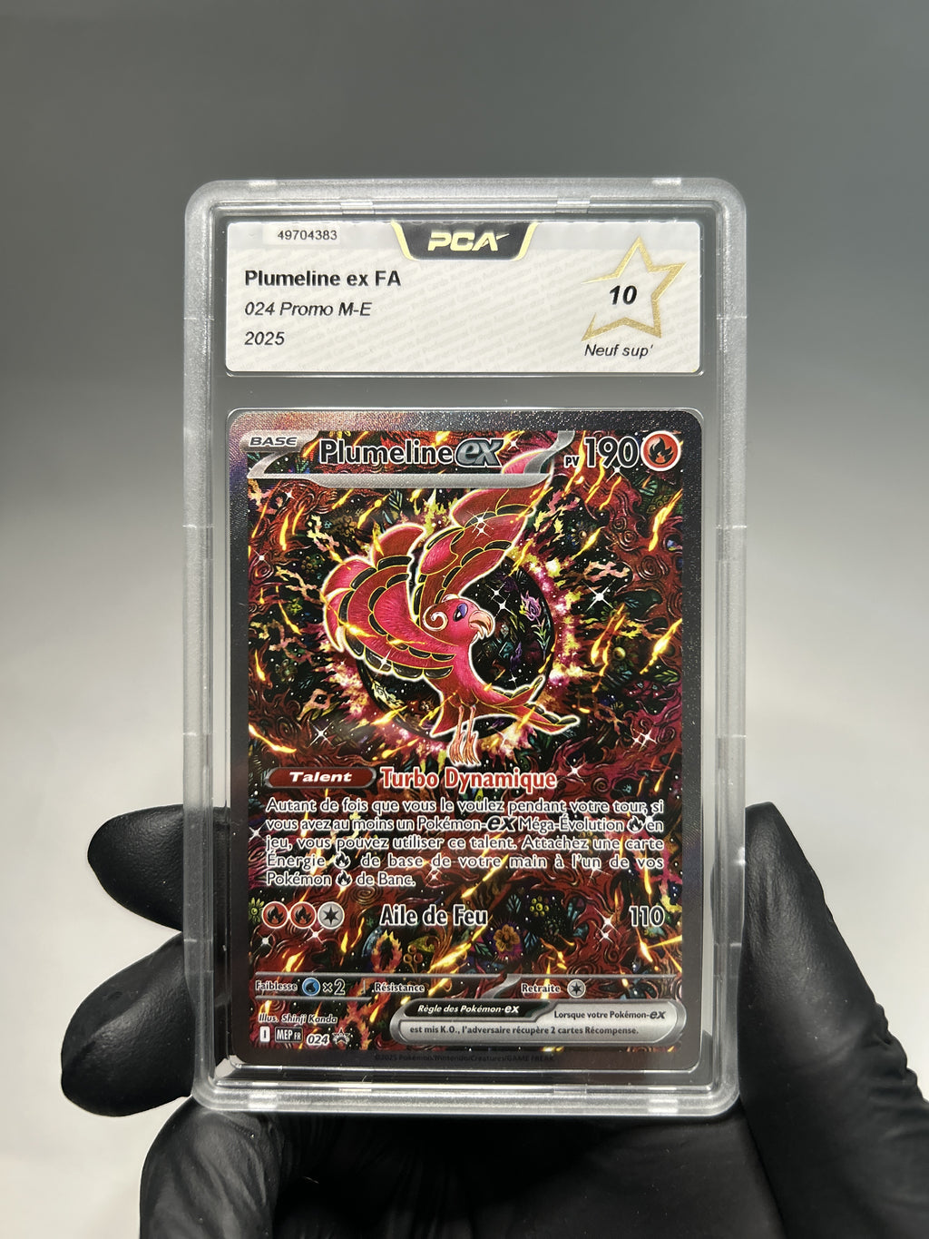 Plumeline SM19/244 PCA 10