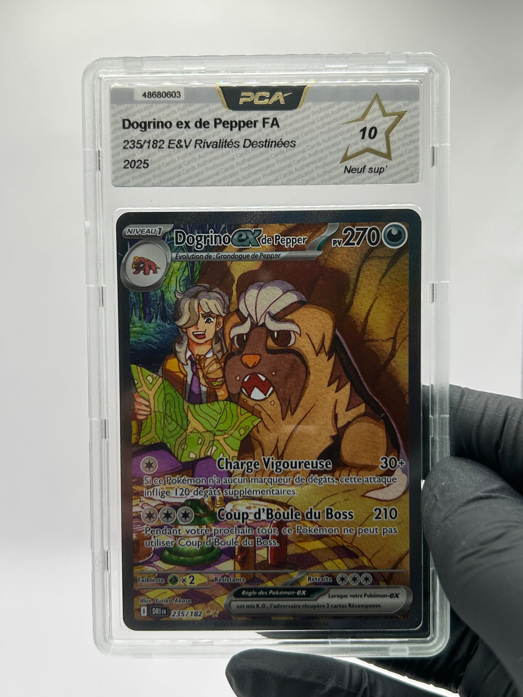 Dogrino-EX De Pepper 235/182 PCA10