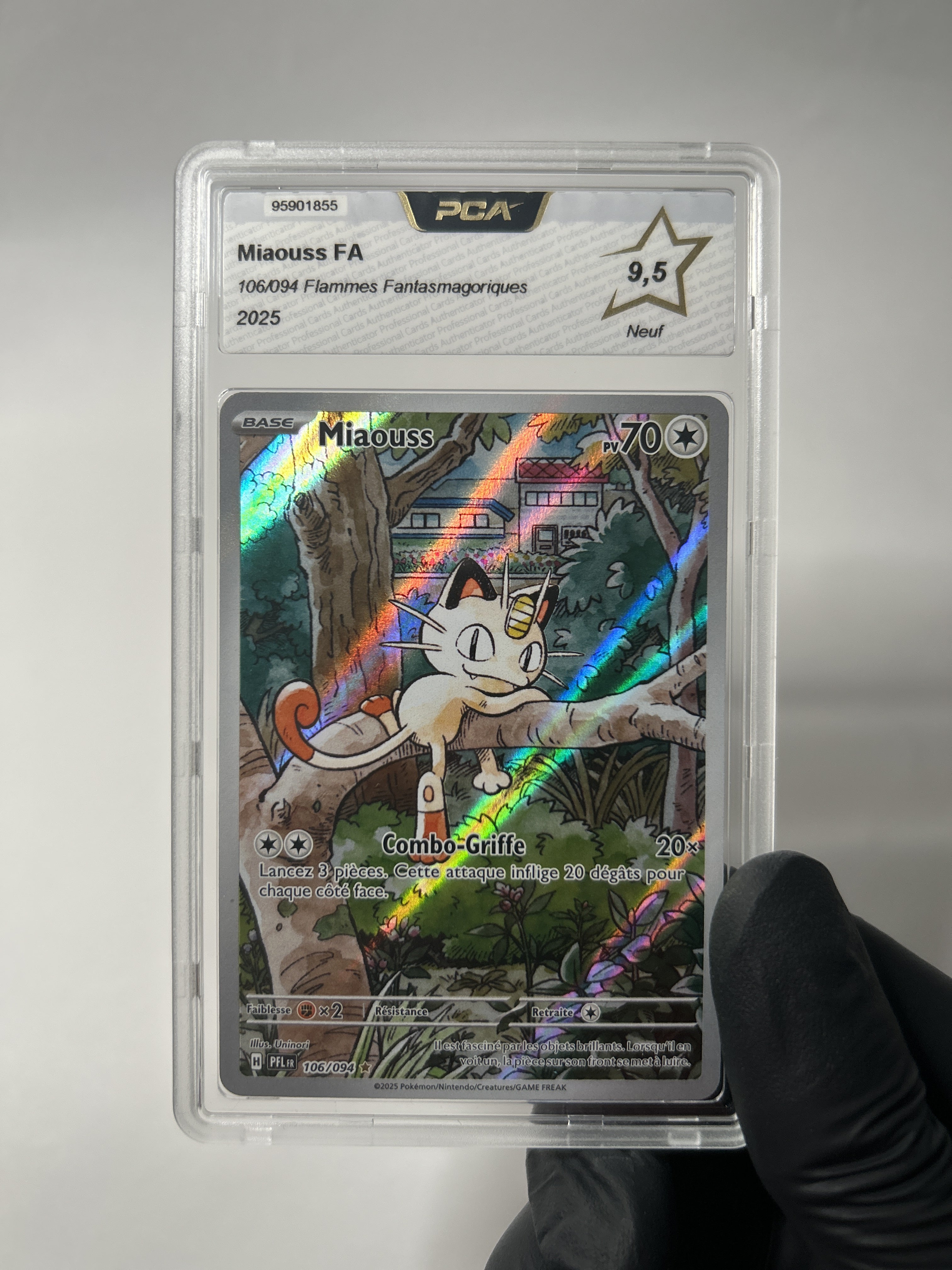 Miaouss 106/130 PCA 9,5