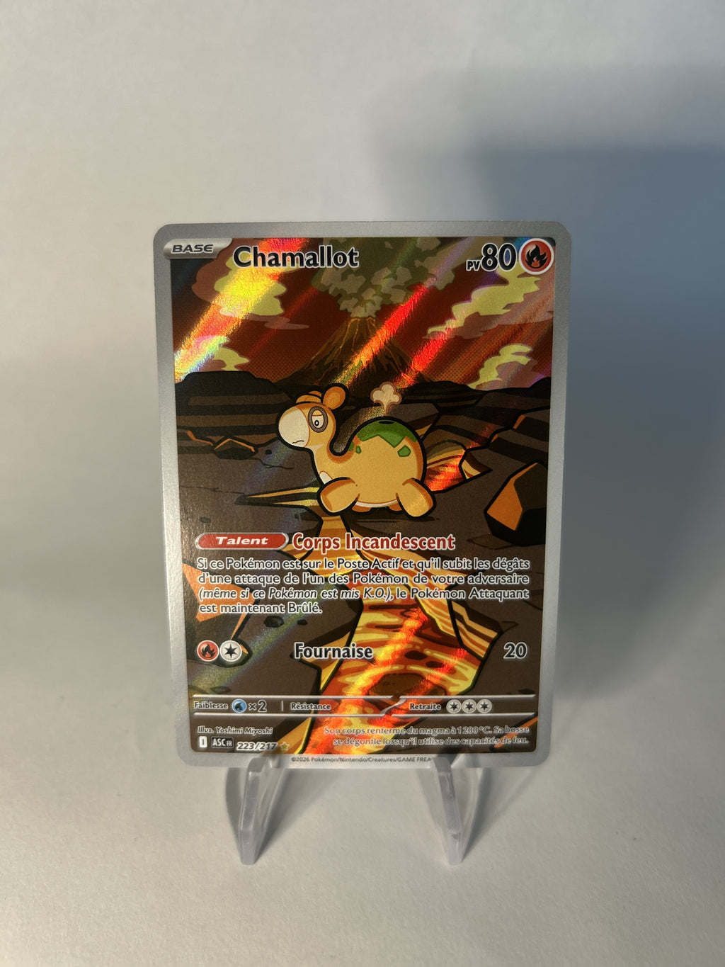 Chamallot 223/295