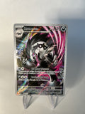 Ixon de Galar 245/295
