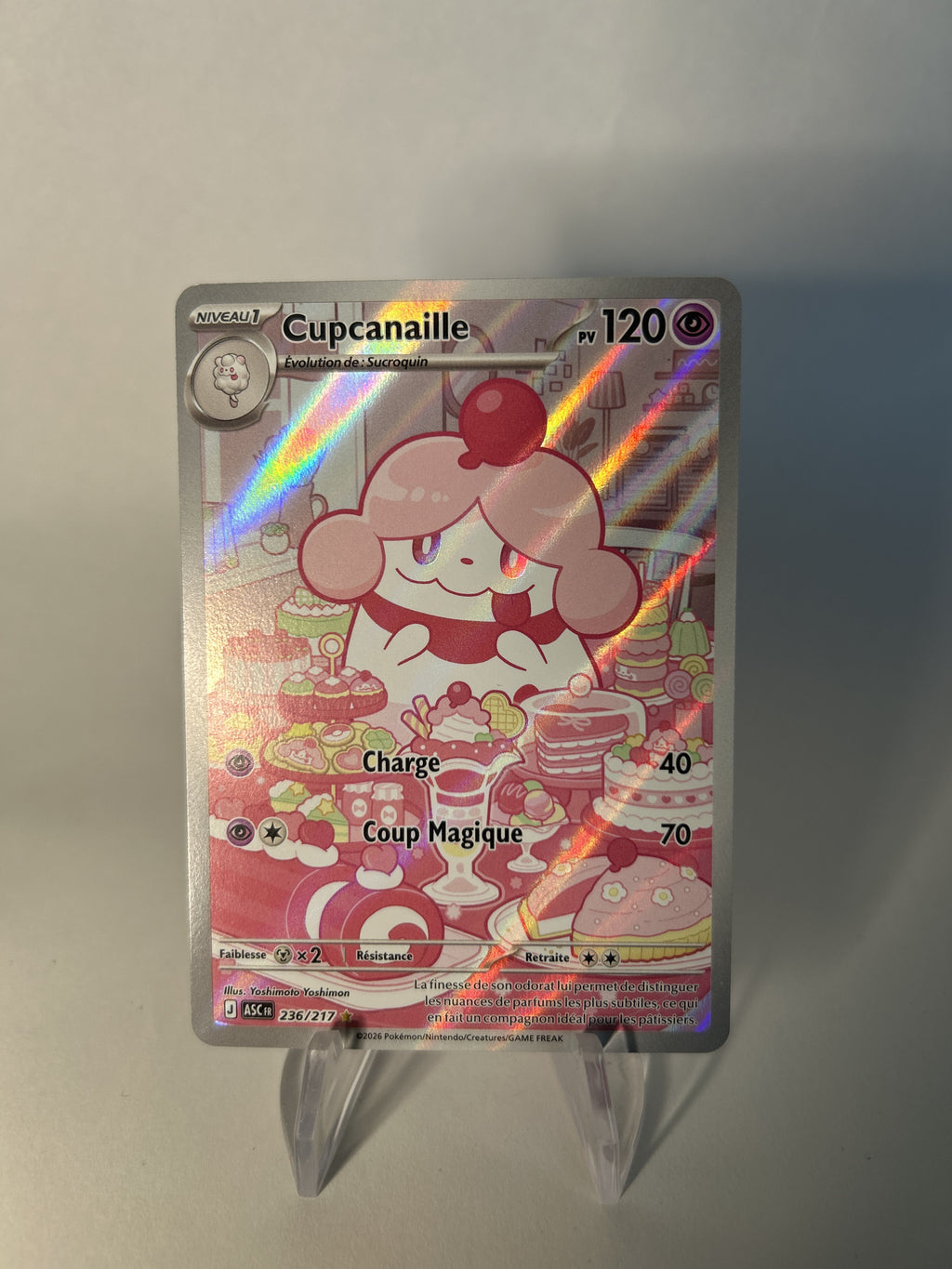 Cupcanaille 236/295