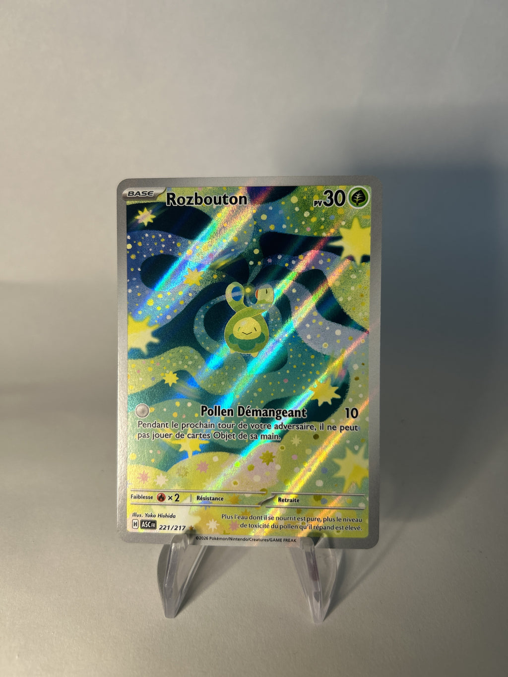Rozbouton 221/295