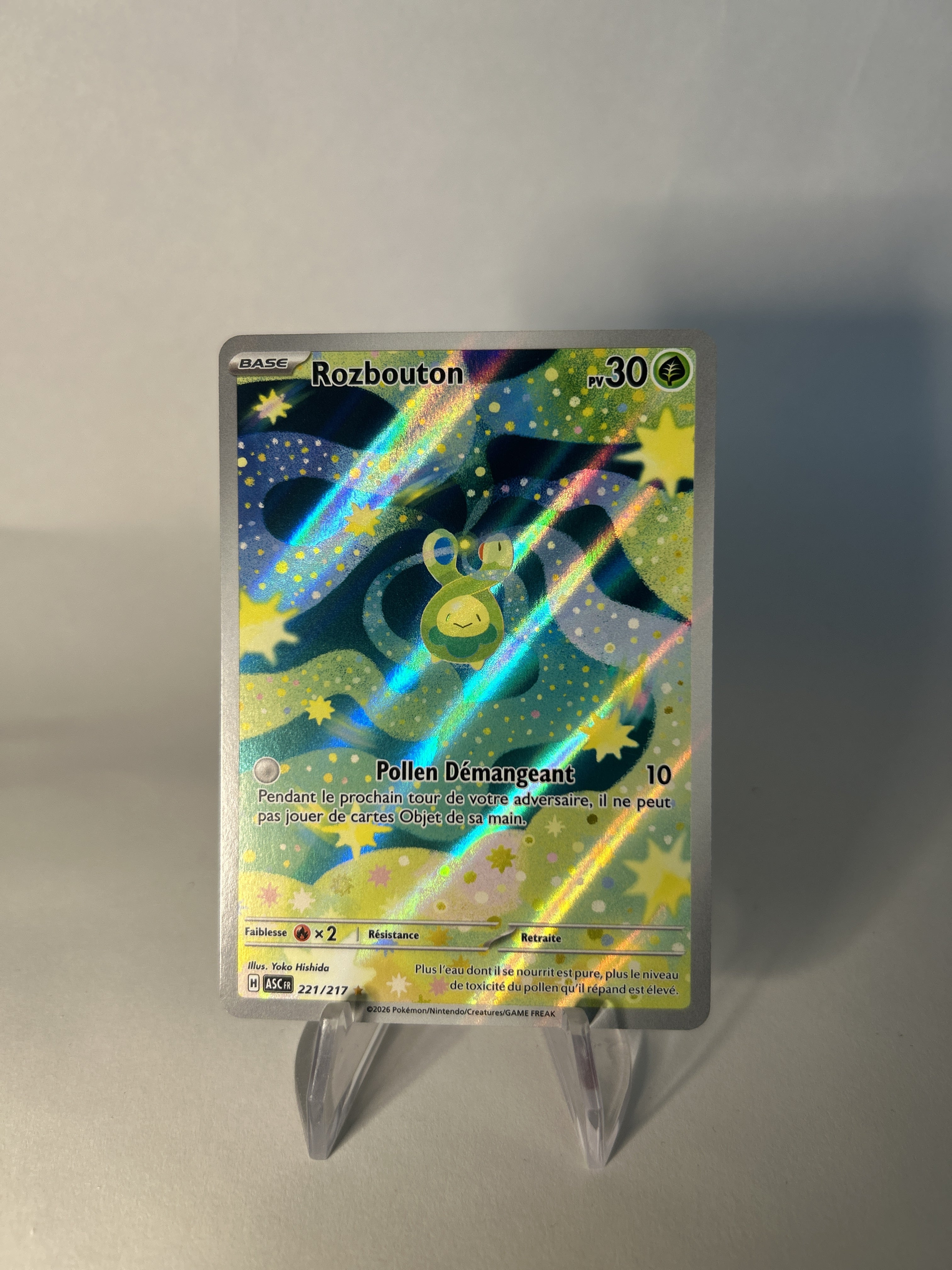 Rozbouton 221/295