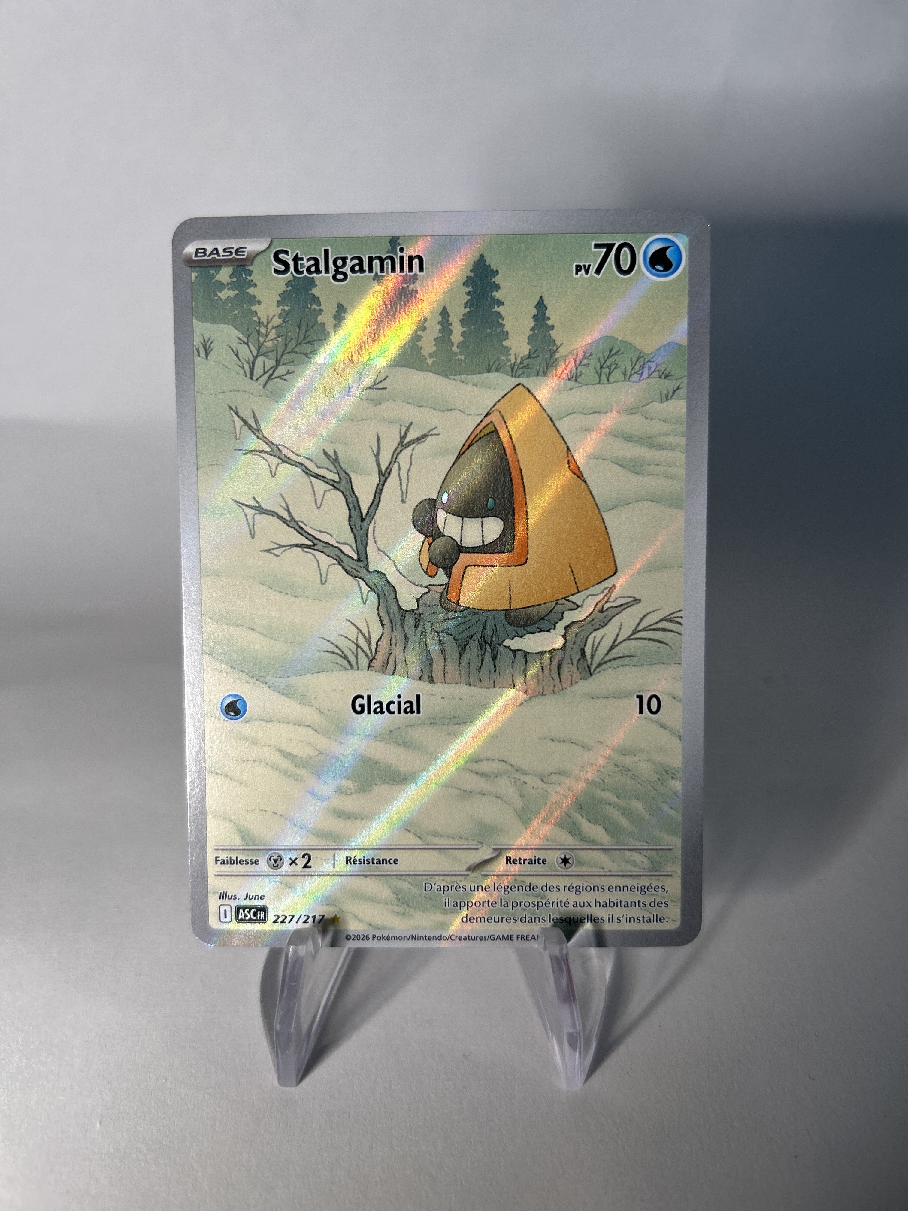 Stalgamin 227/295