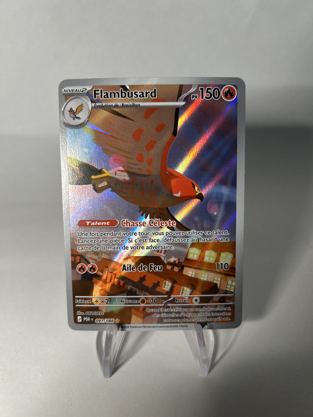 Flambusard 091