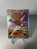 Flambusard 091