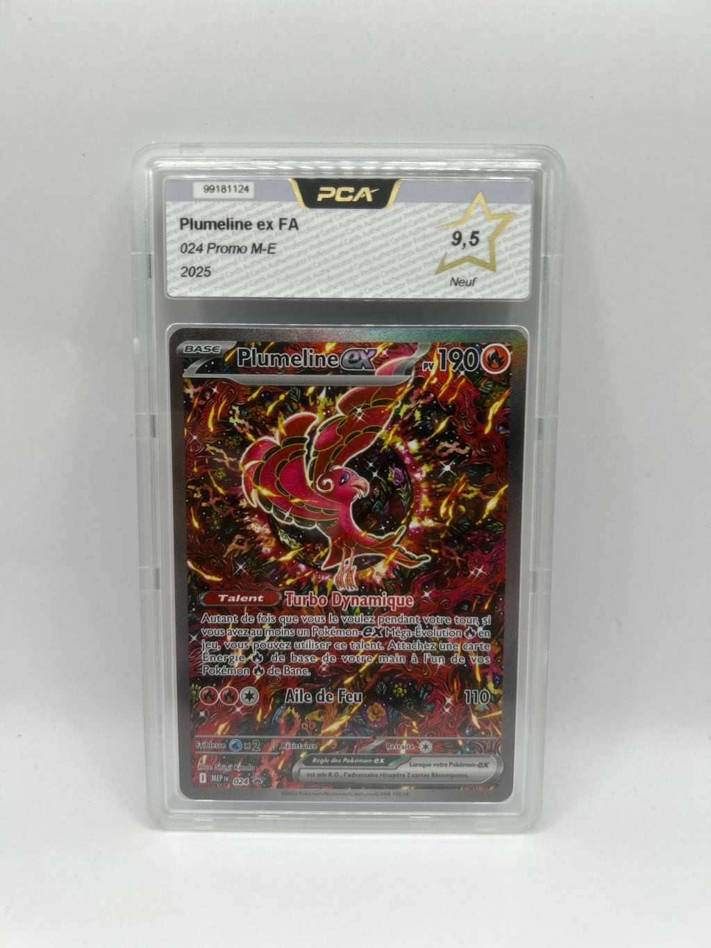 Plumeline-EX 024/52 PCA9.5